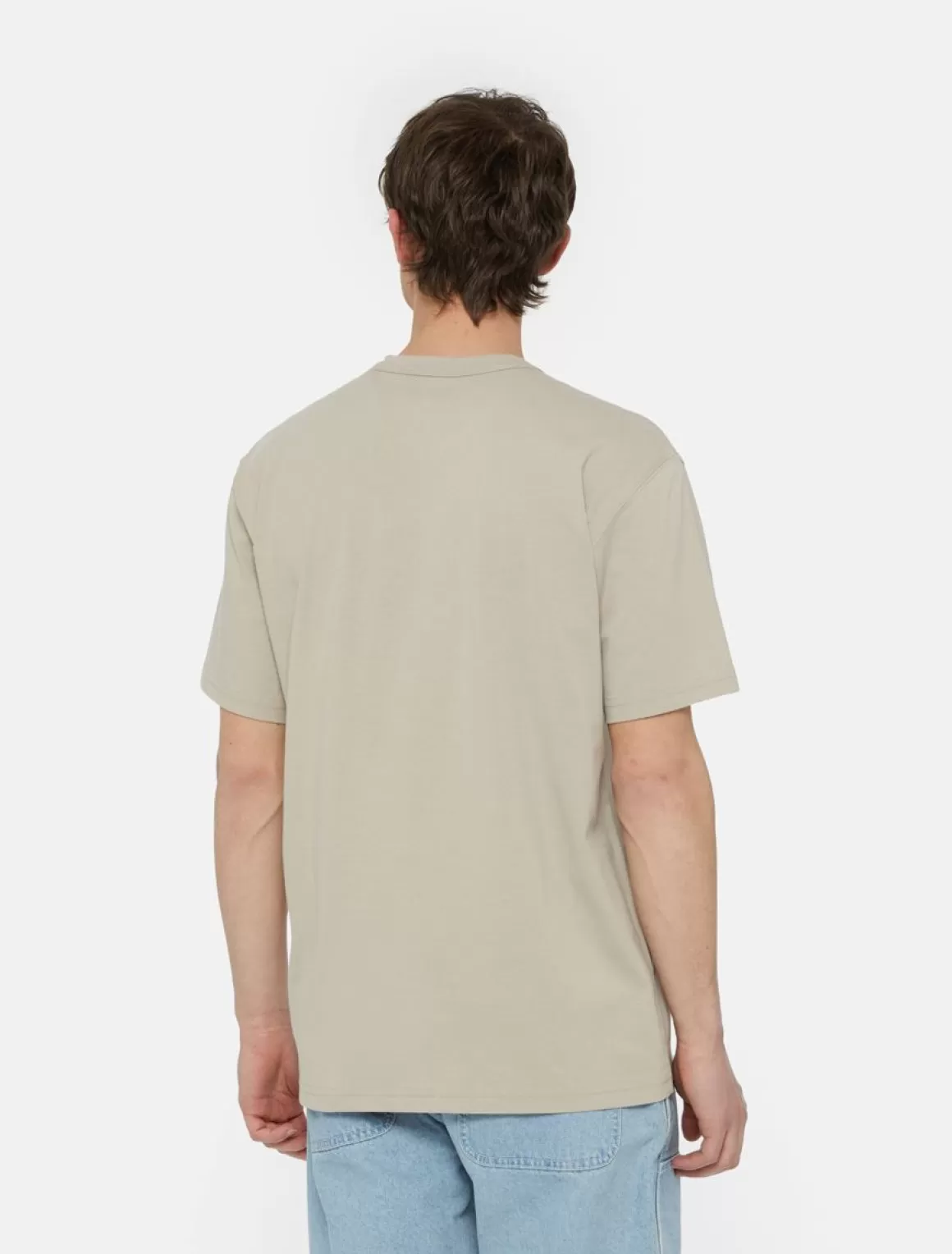 Dickies Aitkin Chest Logo Kortærmet T-Shirt