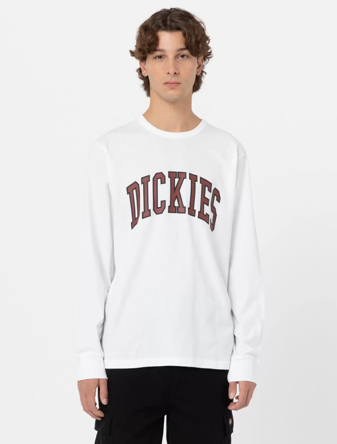 Dickies Aitkin Long Sleeve T-Shirt