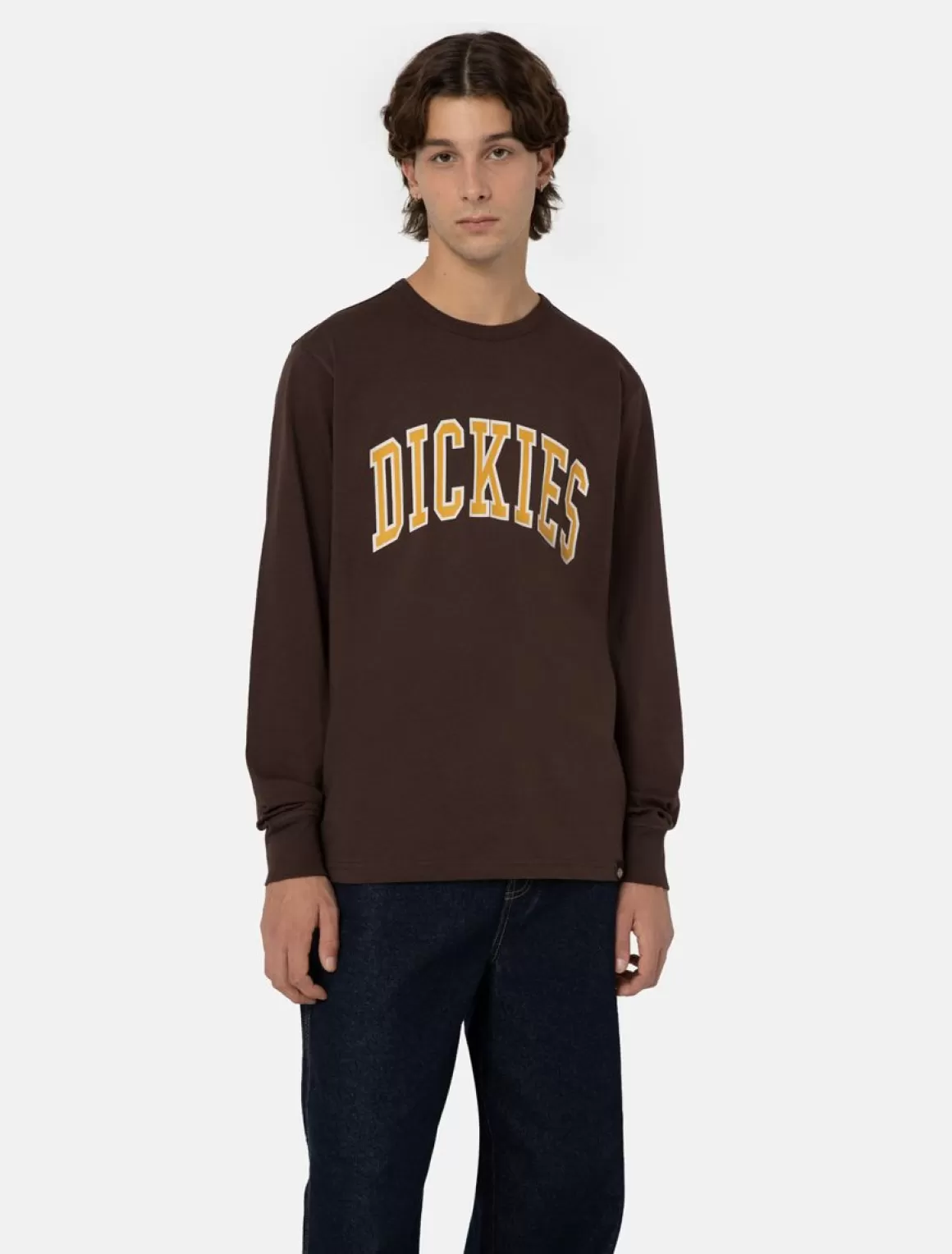 Dickies Aitkin Long Sleeve T-Shirt