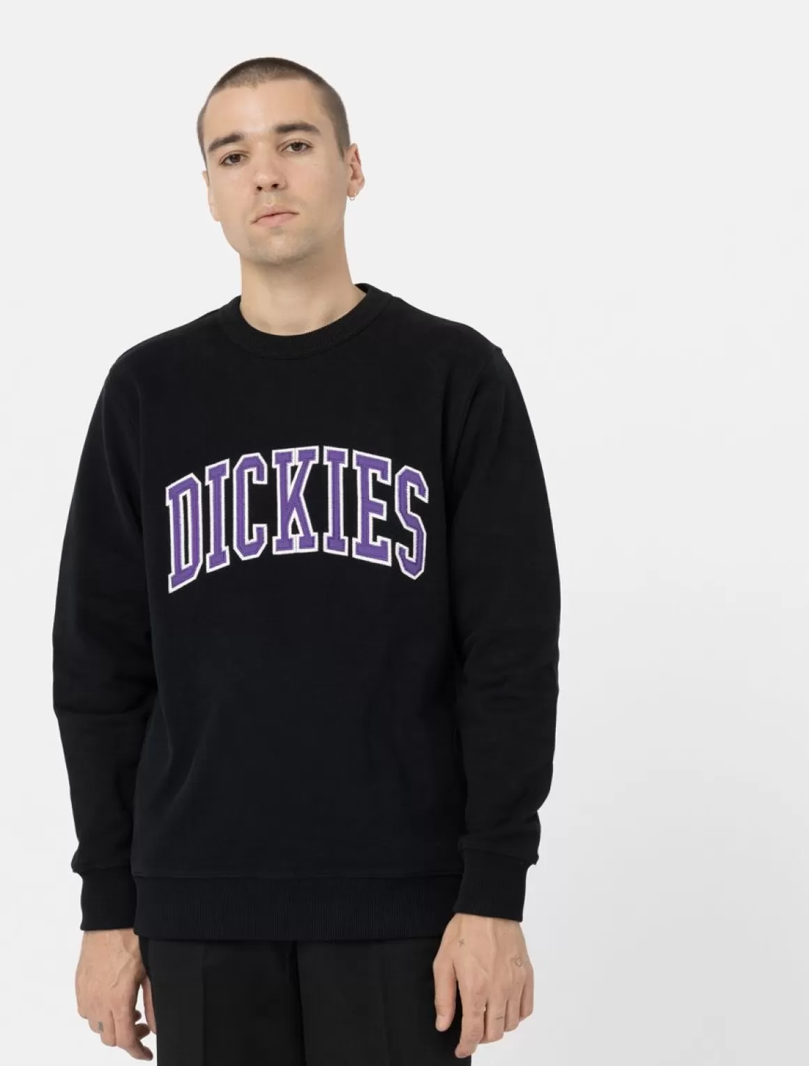 Dickies Aitkin Sweatshirt