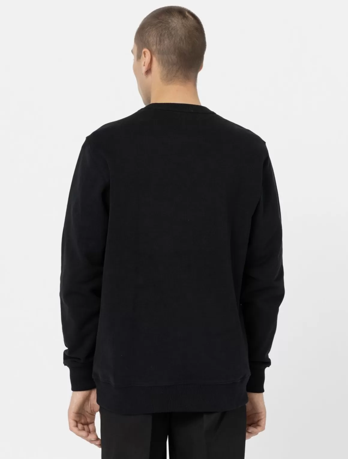 Dickies Aitkin Sweatshirt