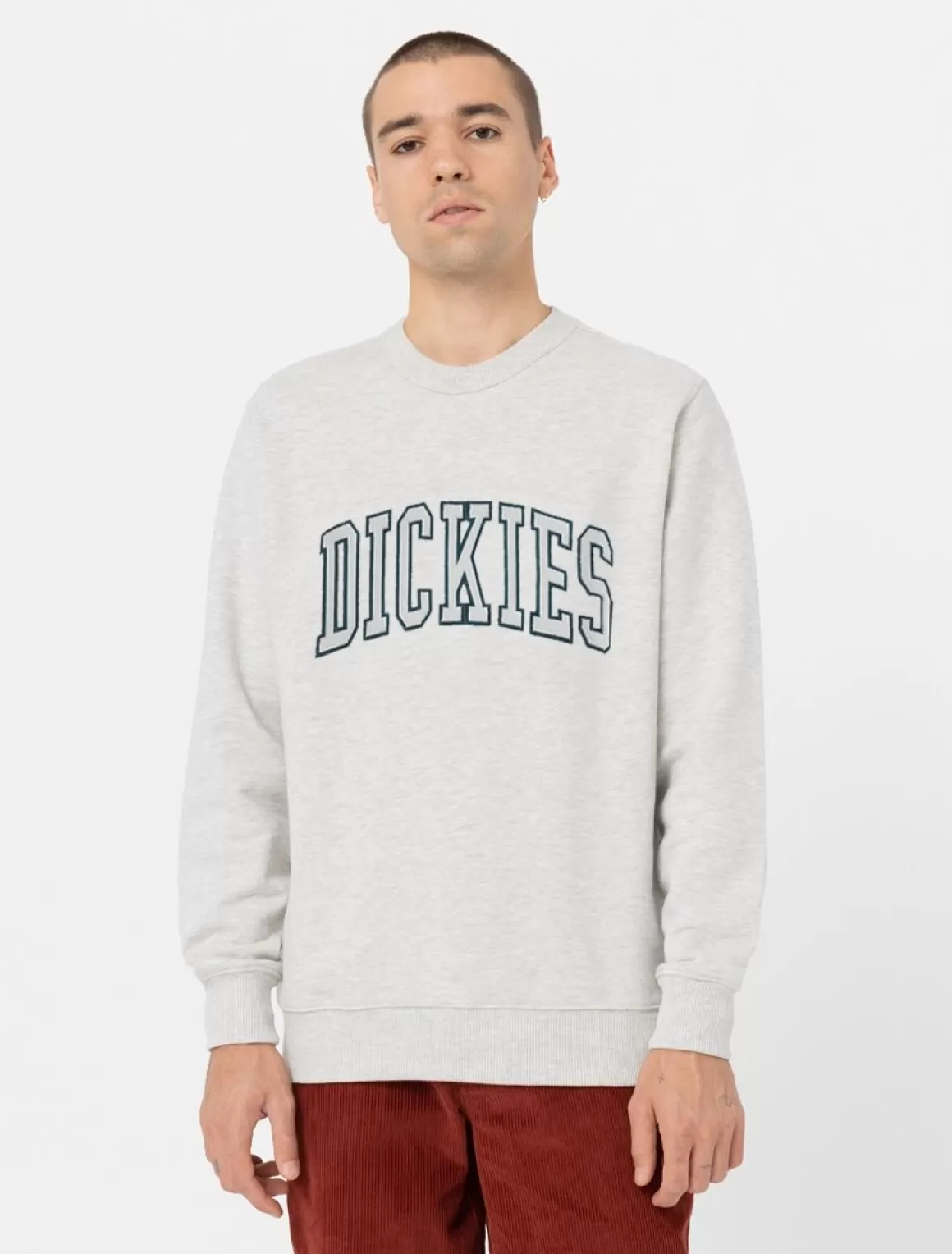 Dickies Aitkin Sweatshirt