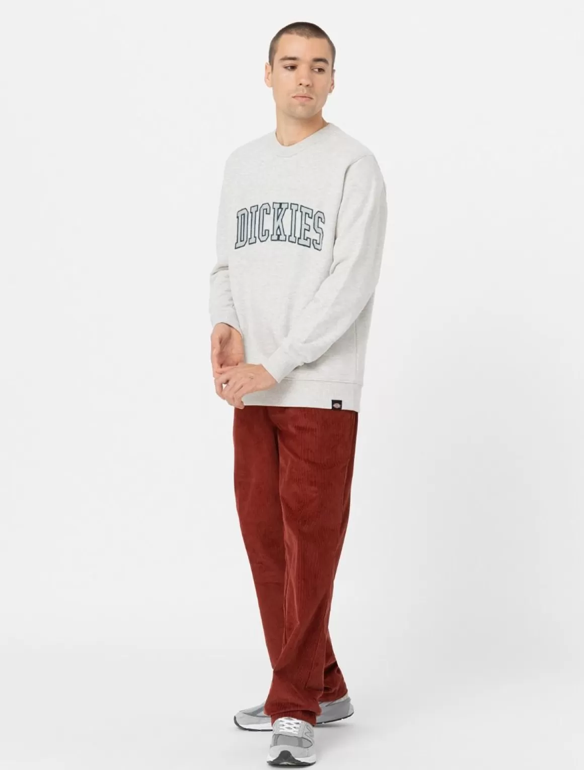 Dickies Aitkin Sweatshirt