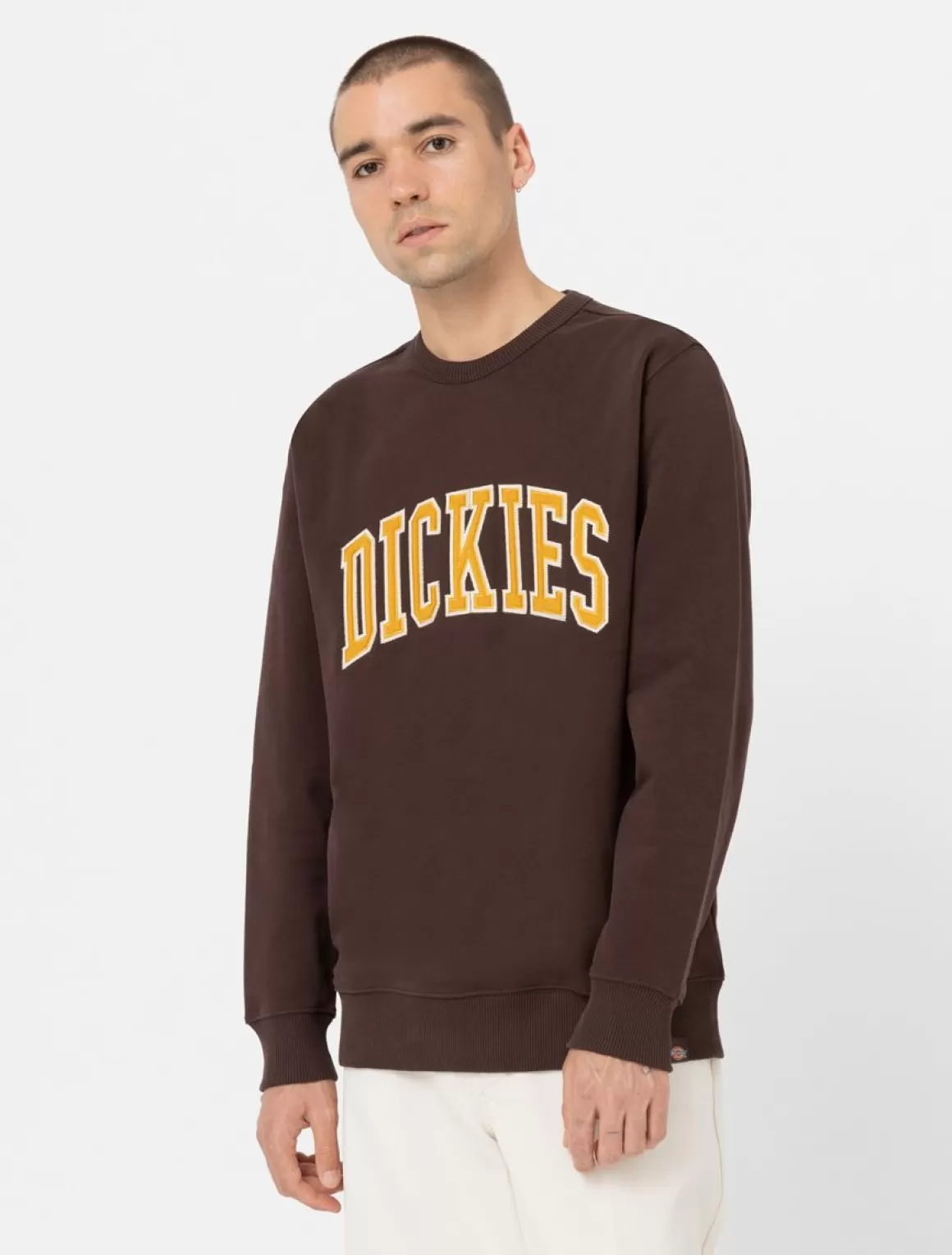 Dickies Aitkin Sweatshirt