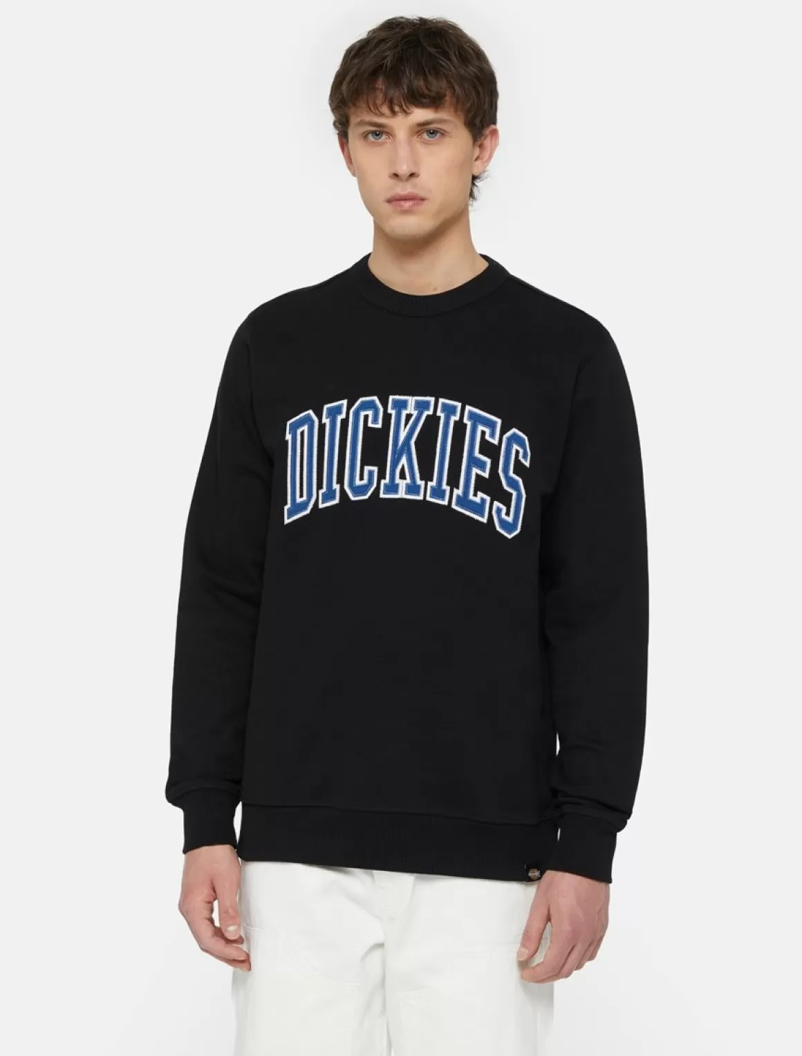 Dickies Aitkin Sweatshirt