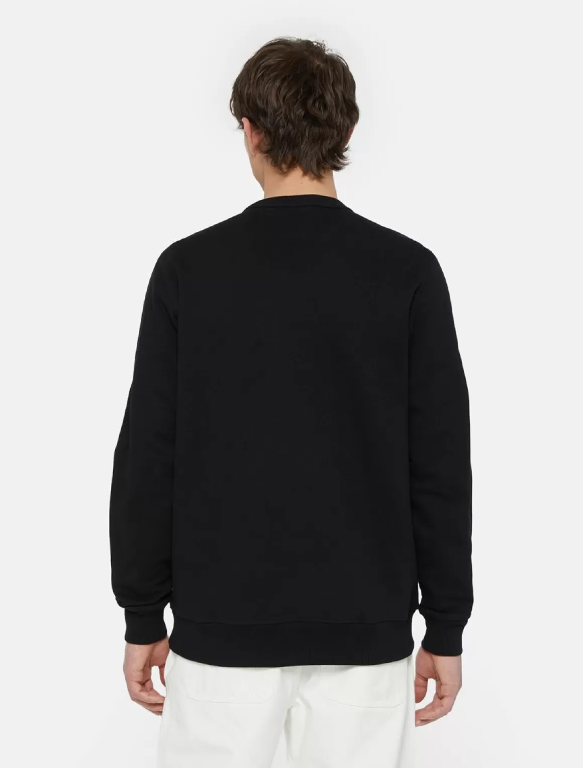 Dickies Aitkin Sweatshirt