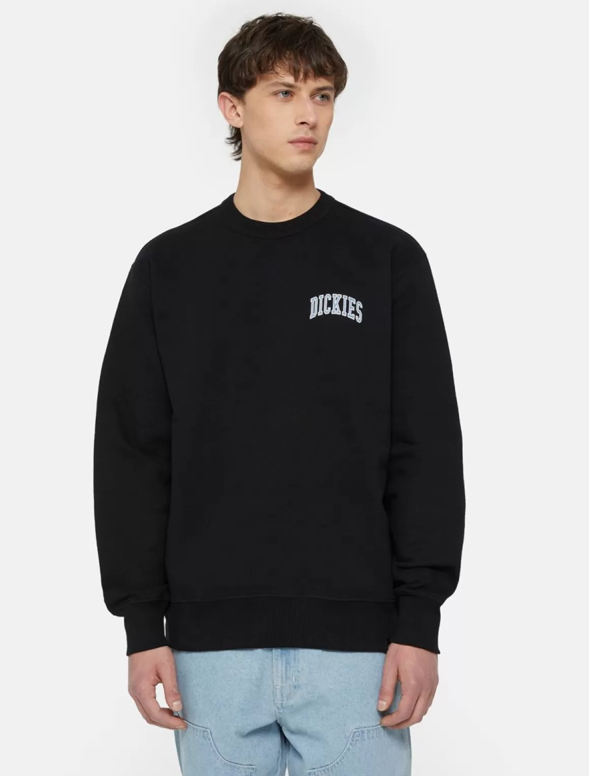 Dickies Aitkin Sweatshirt