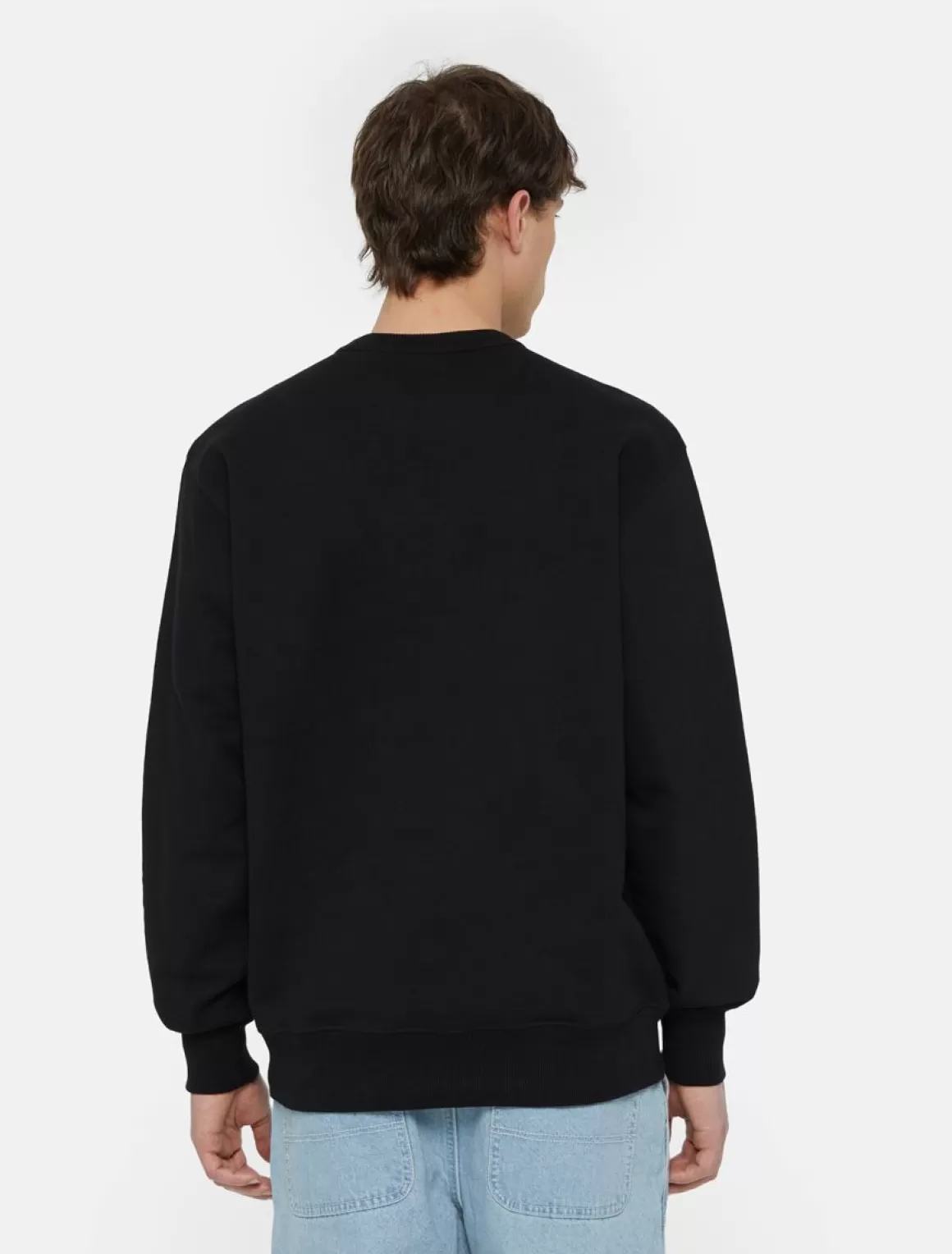 Dickies Aitkin Sweatshirt