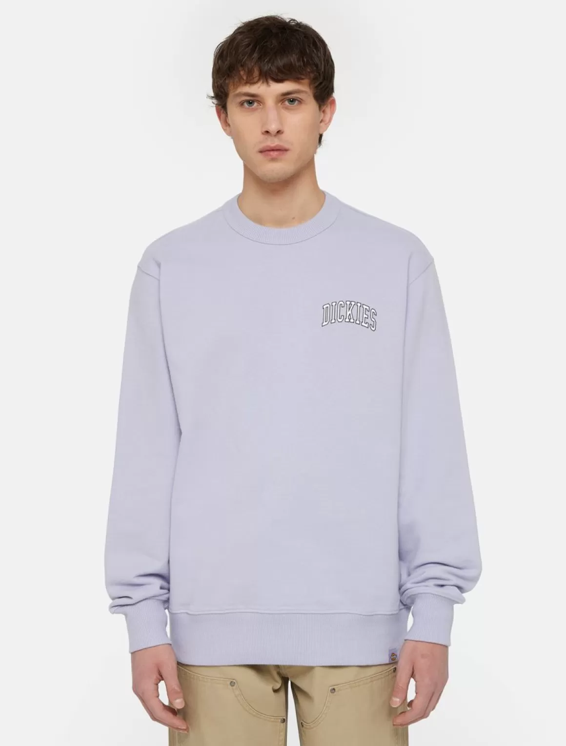 Dickies Aitkin Sweatshirt