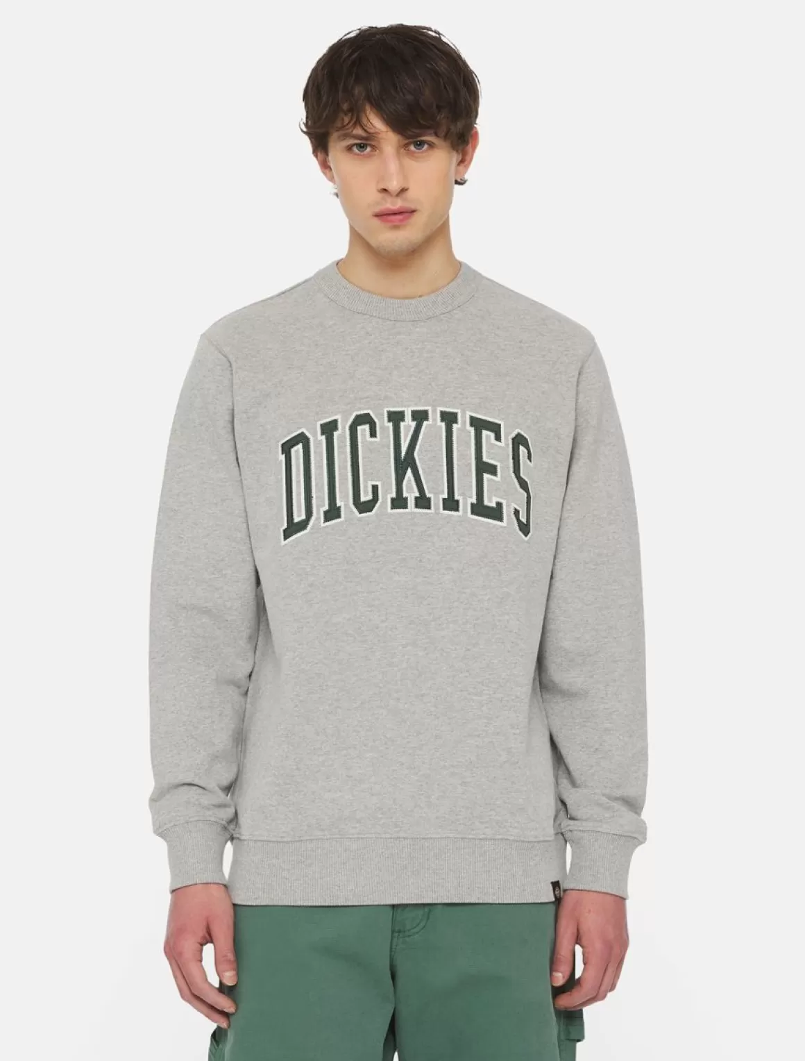 Dickies Aitkin Sweatshirt