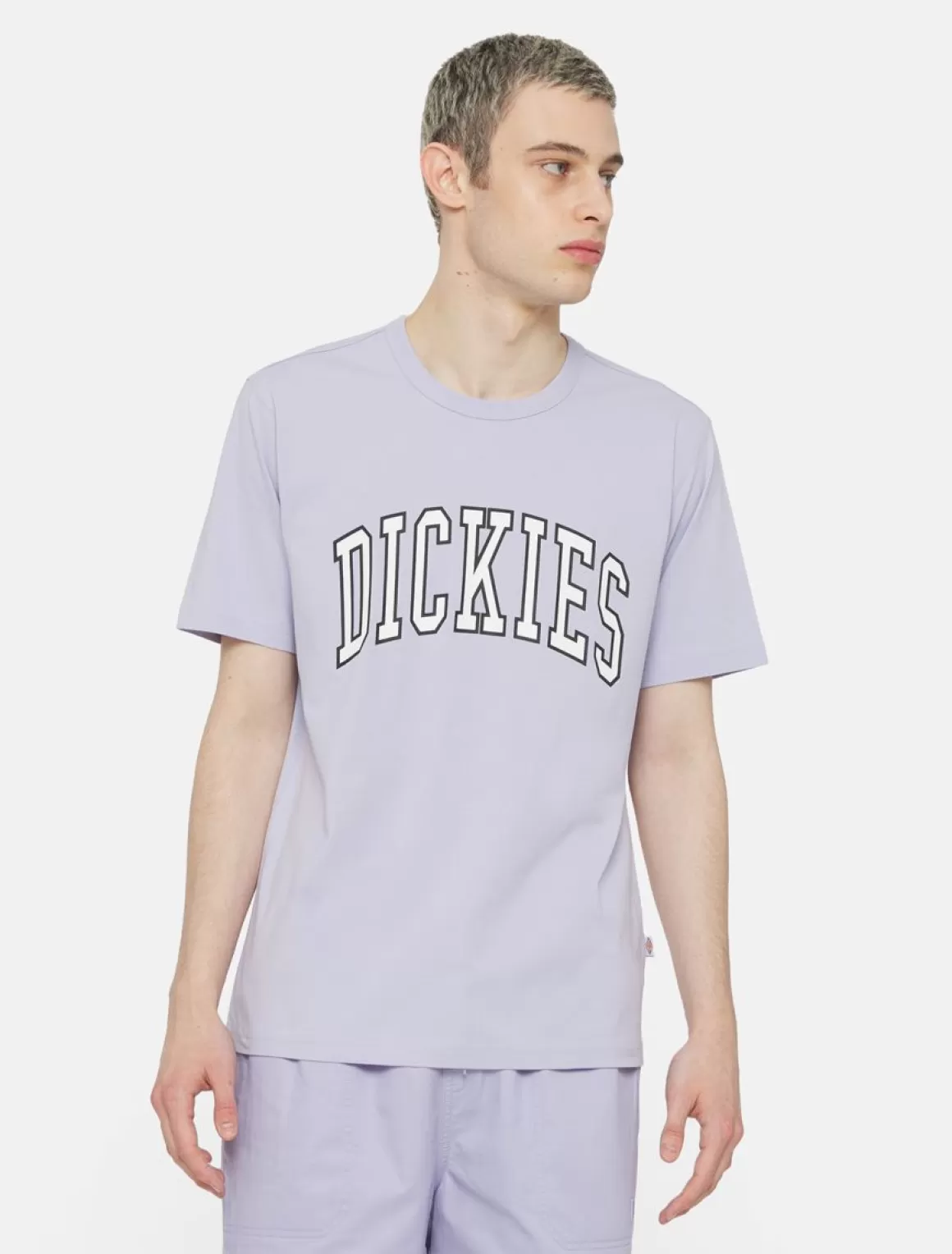 Dickies Aitkin T-Shirt Med Korte Ærmer