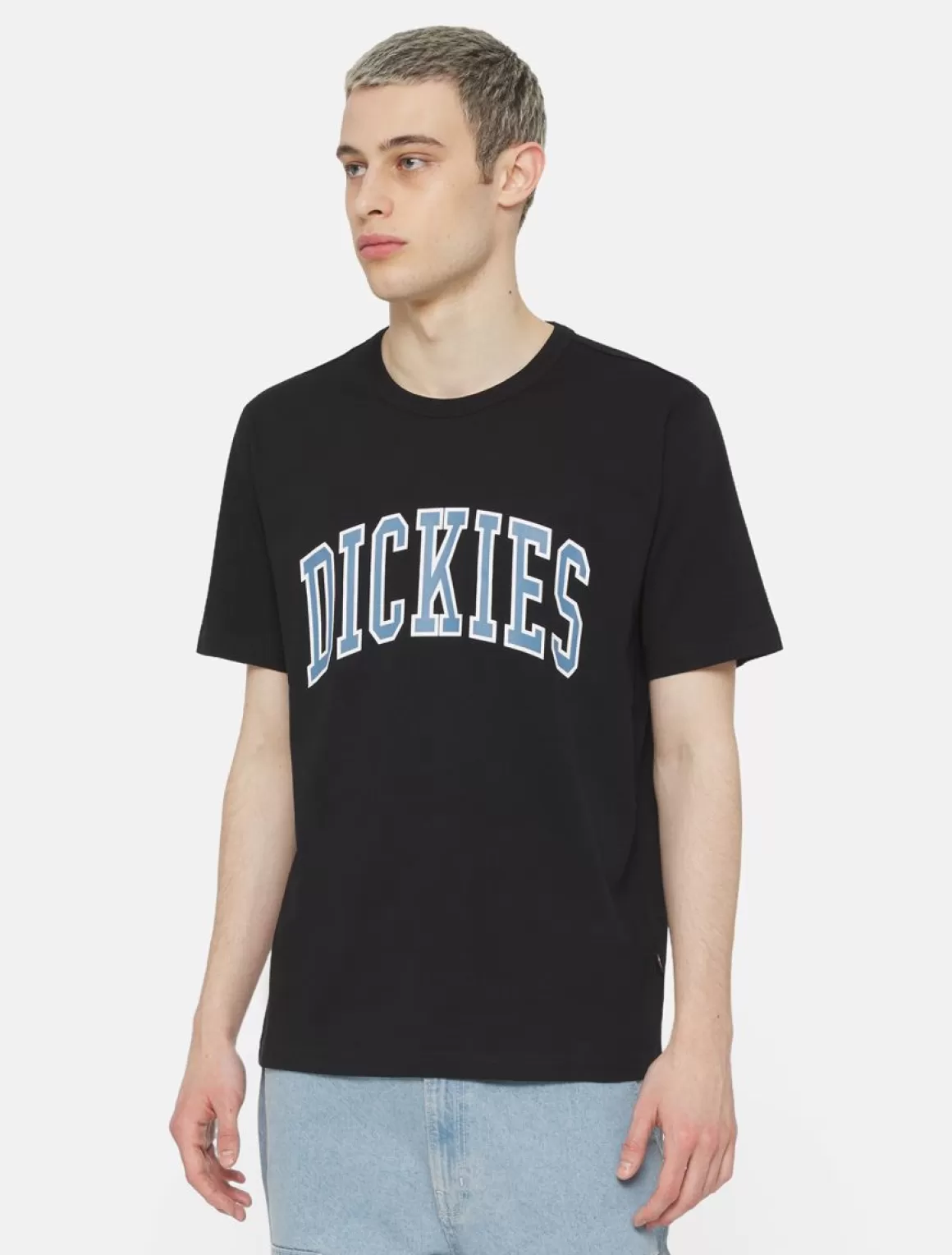 Dickies Aitkin T-Shirt Med Korte Ærmer