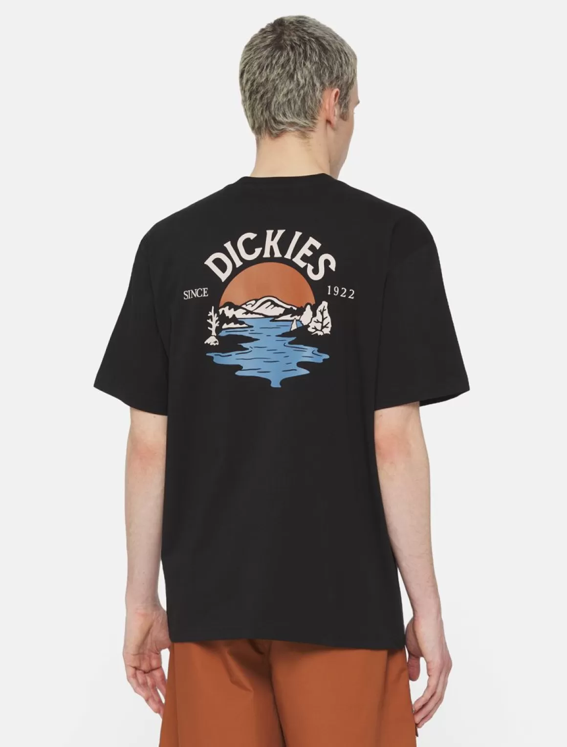 Dickies Beach Kortærmet T-Shirt