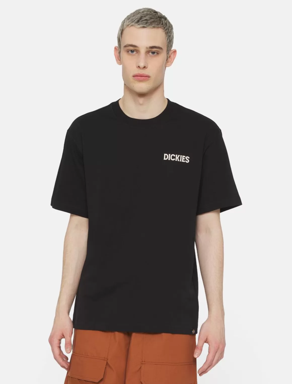 Dickies Beach Kortærmet T-Shirt