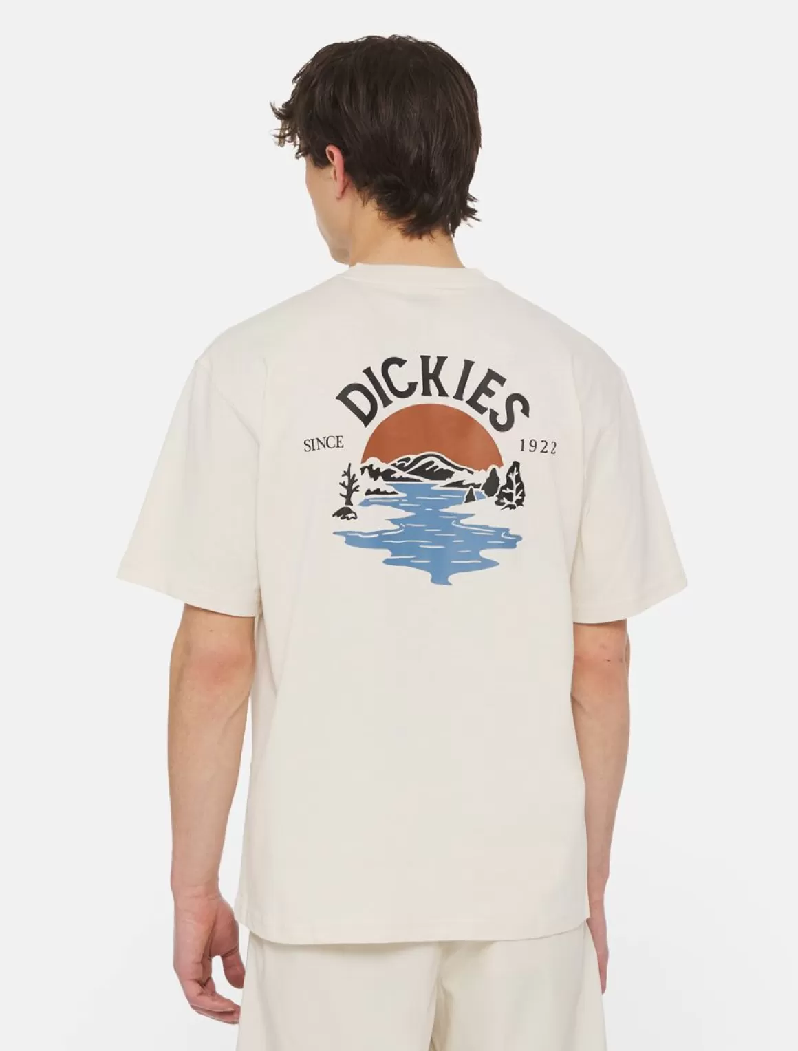 Dickies Beach Kortærmet T-Shirt