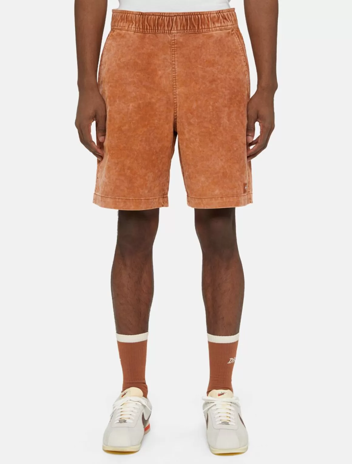 Dickies Chase City Shorts