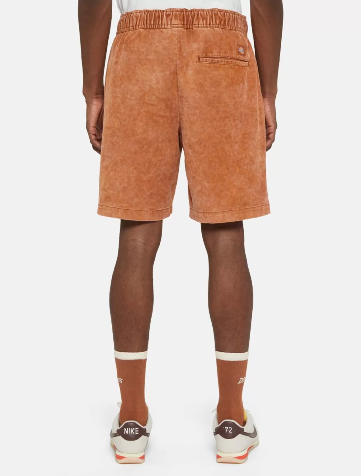 Dickies Chase City Shorts