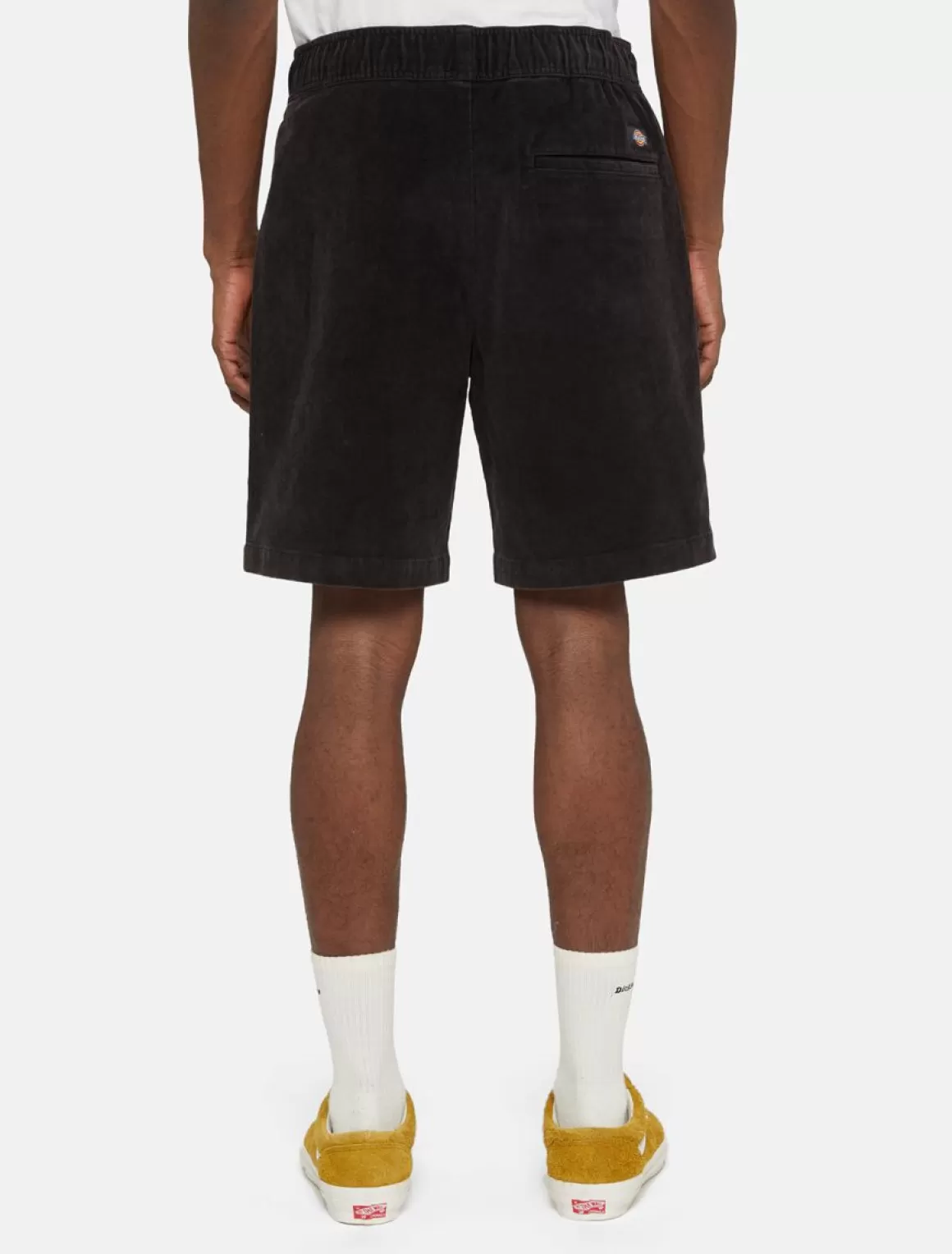 Dickies Chase City Shorts