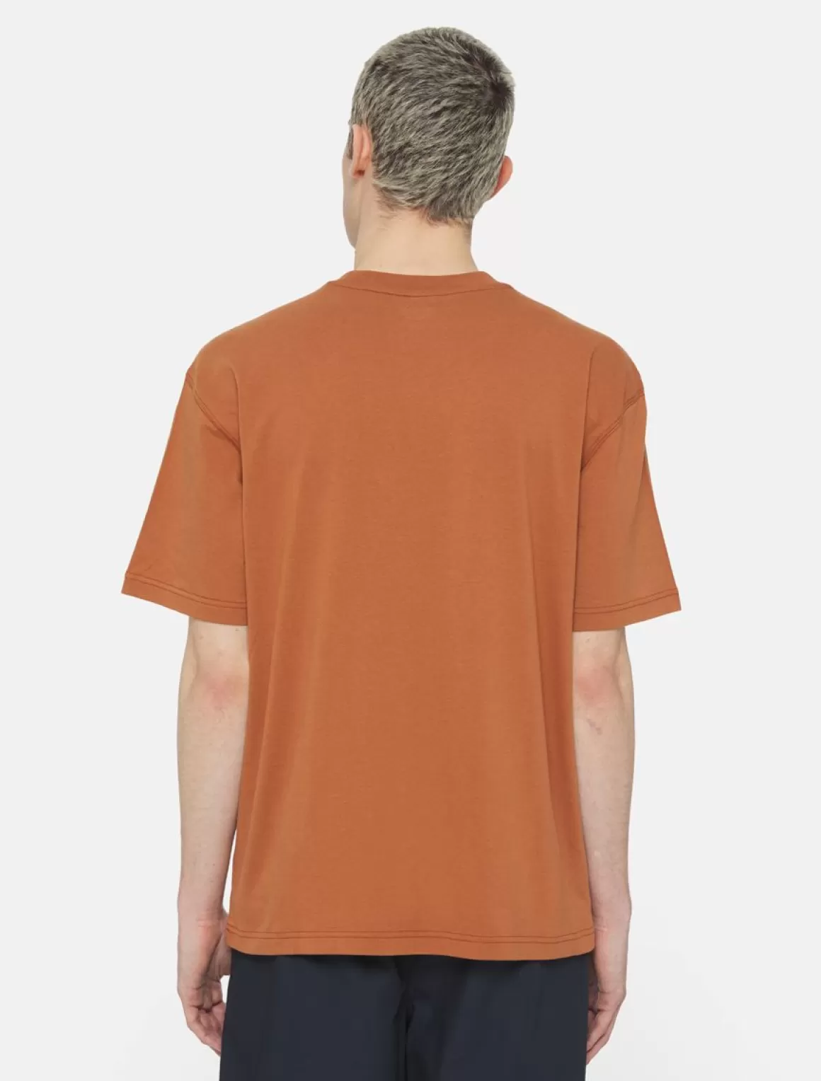 Dickies Dumfries Kortærmet T-Shirt