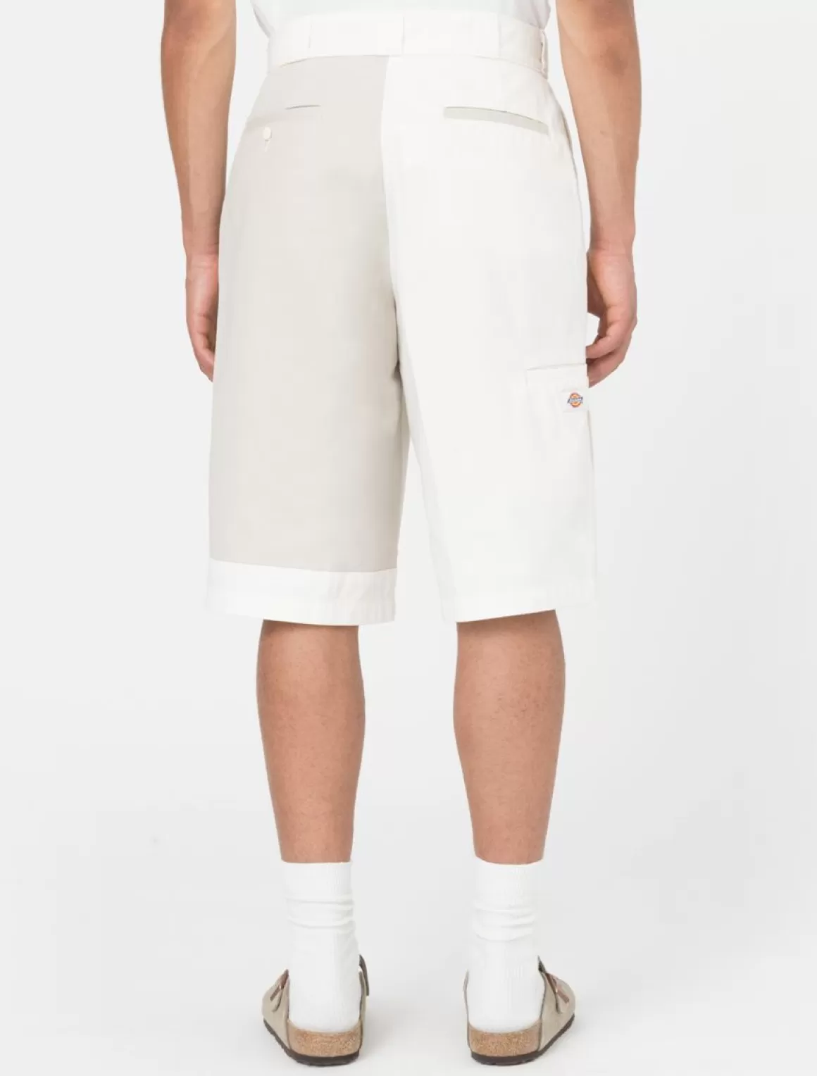 Dickies Eddyville Shorts