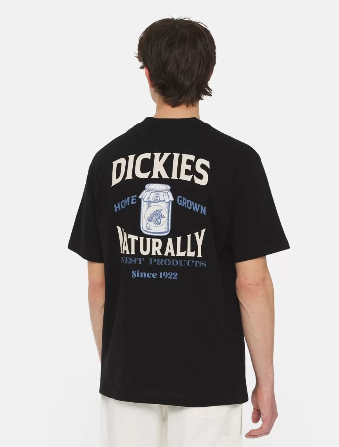 Dickies Elliston Kortærmet T-Shirt