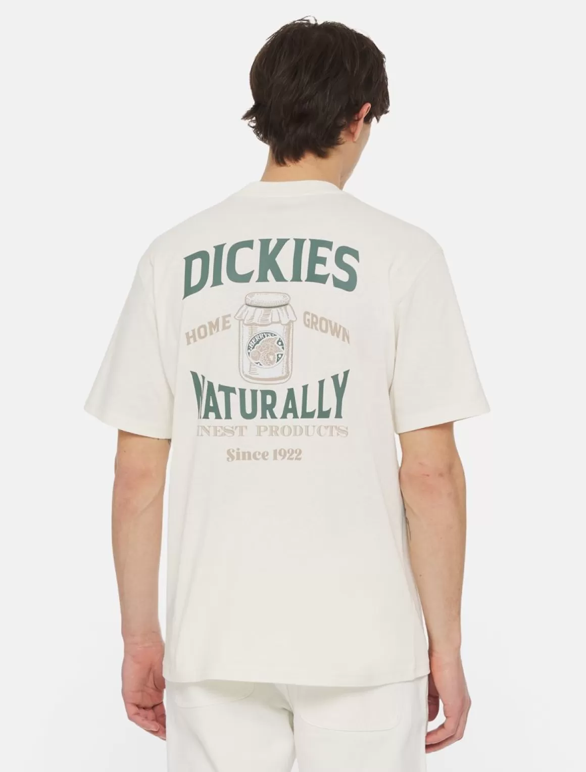 Dickies Elliston Kortærmet T-Shirt