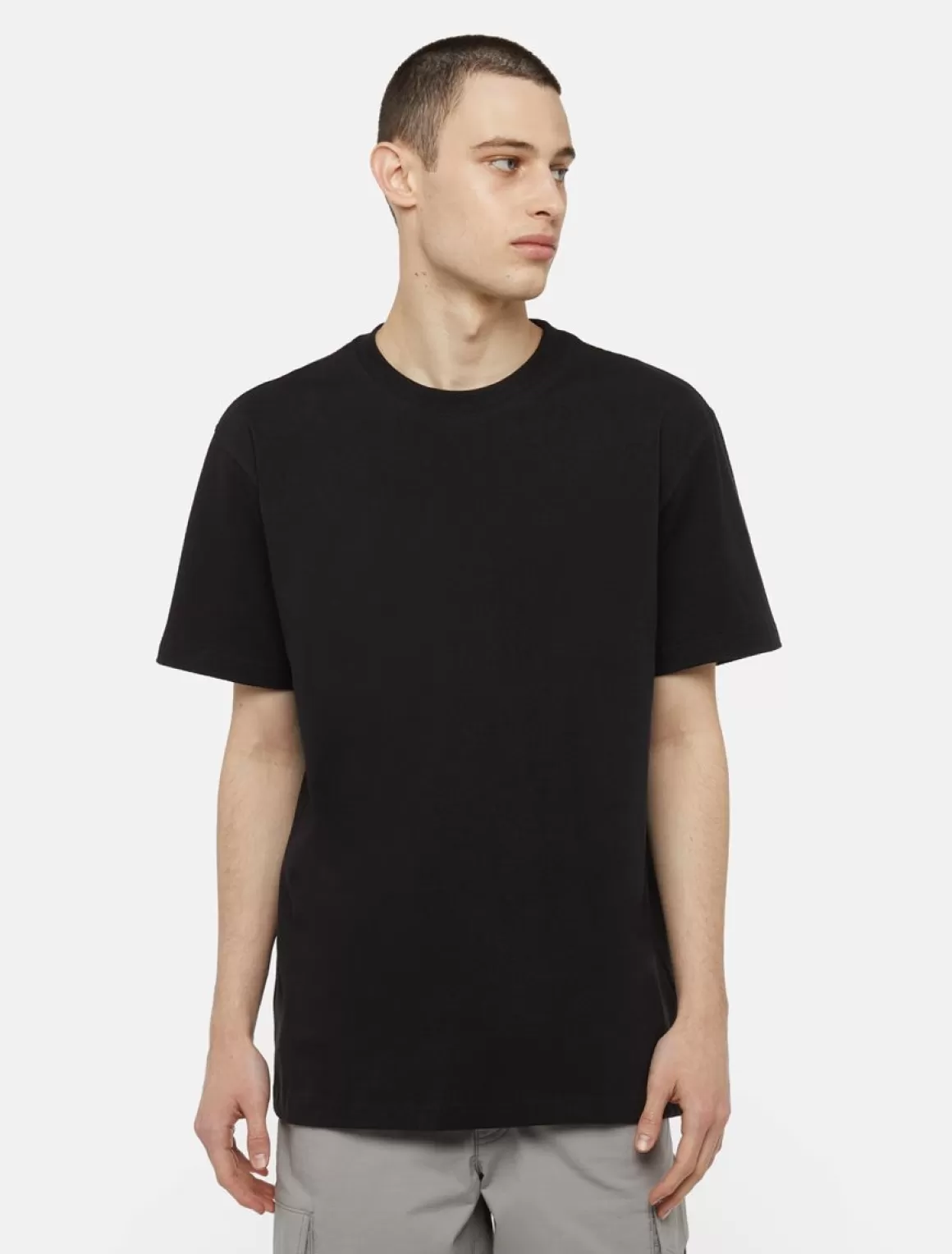 Dickies Everyday Kortærmet T-Shirt