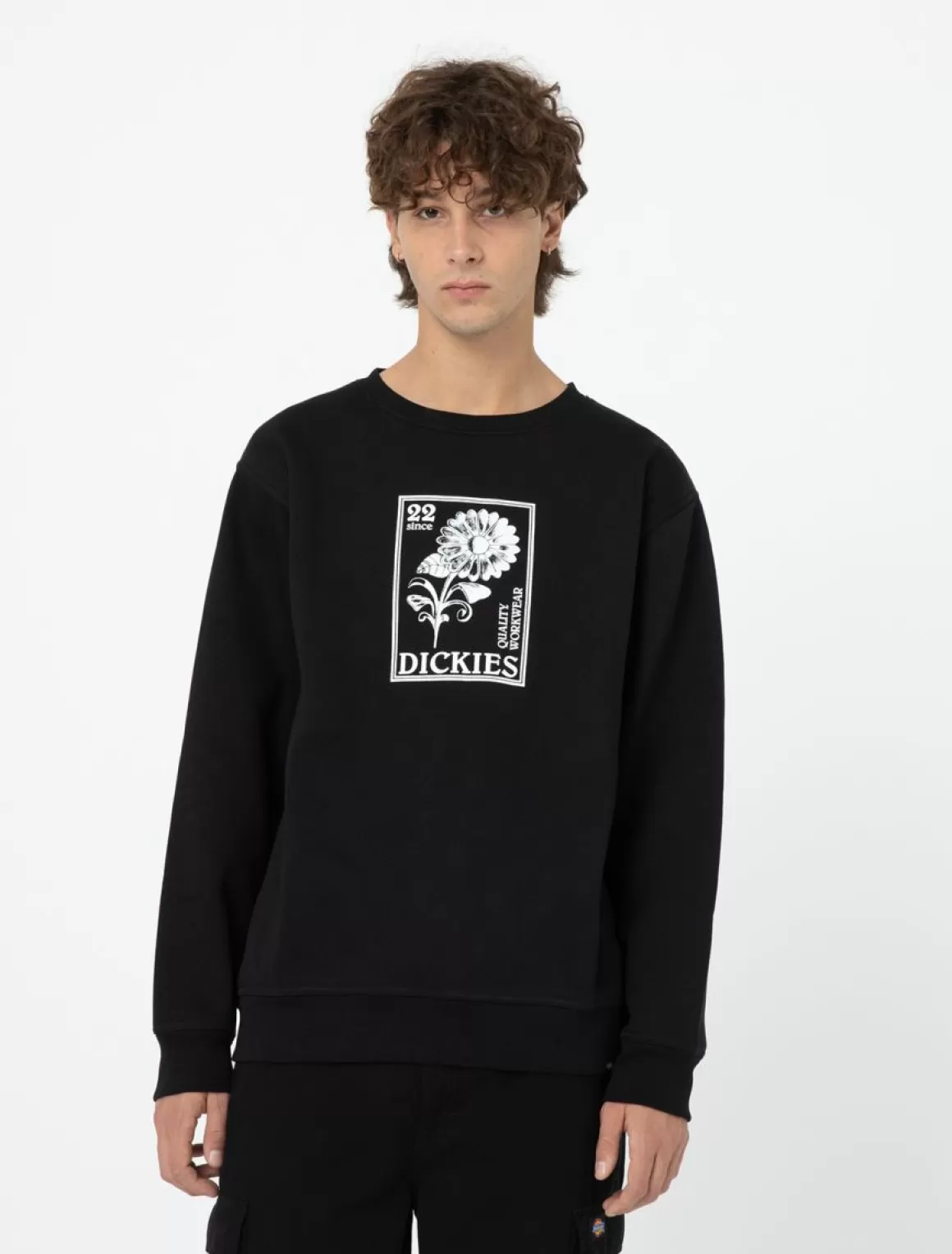 Dickies Garden Plain Sweatshirt