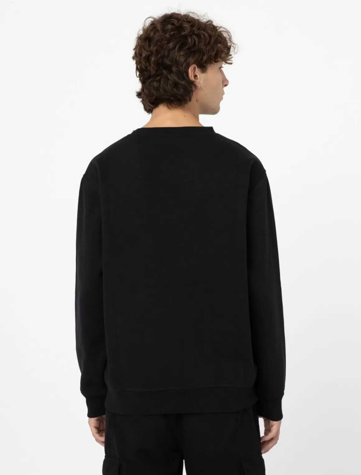 Dickies Garden Plain Sweatshirt