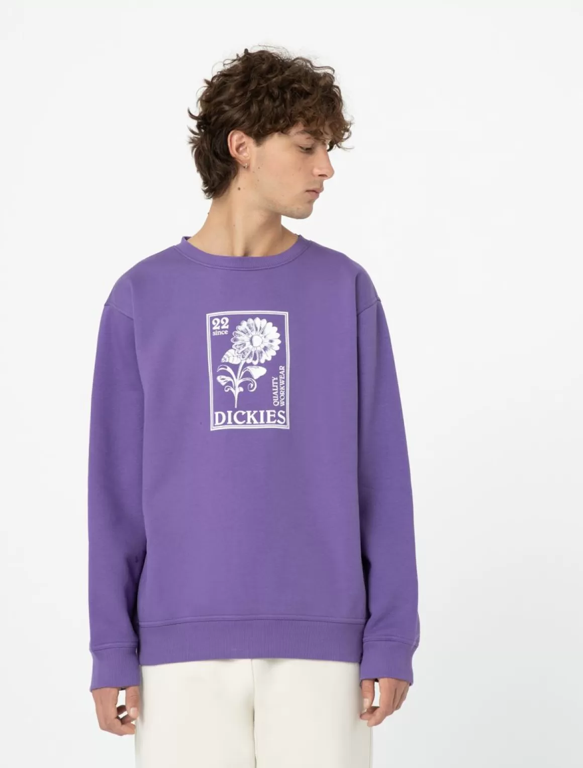 Dickies Garden Plain Sweatshirt