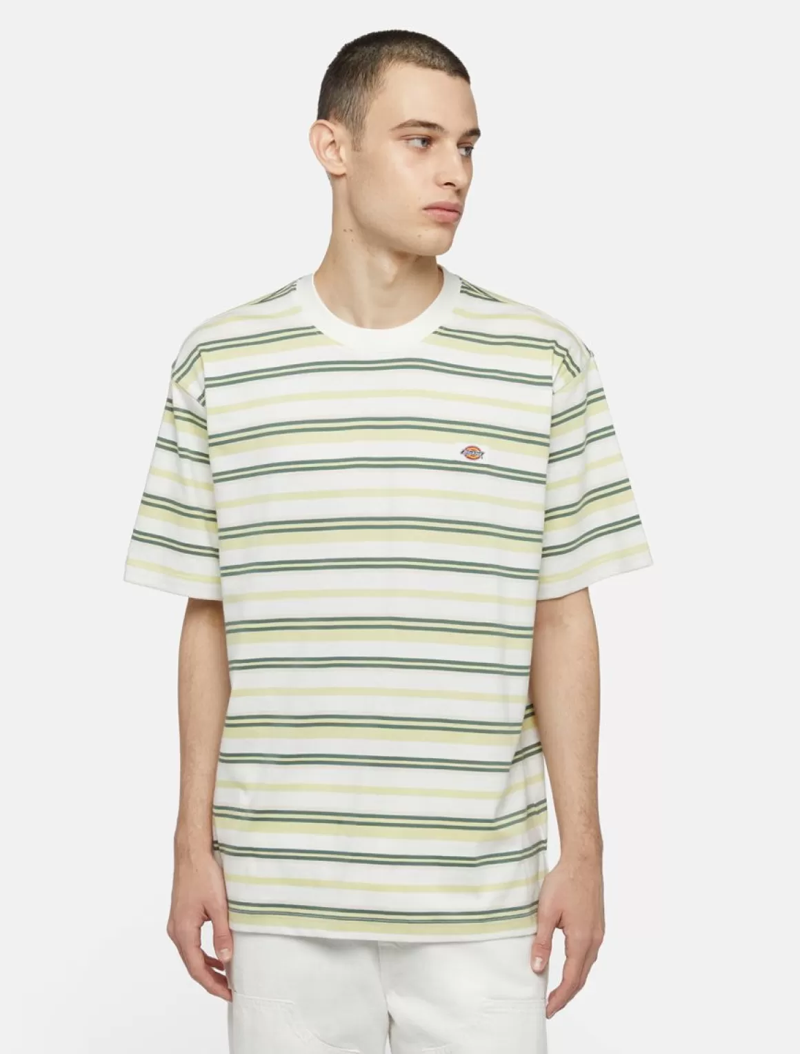 Dickies Glade Spring Kortærmet T-Shirt