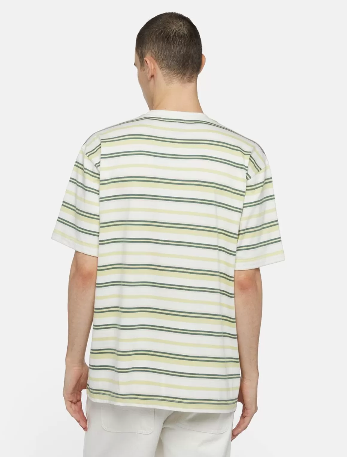 Dickies Glade Spring Kortærmet T-Shirt