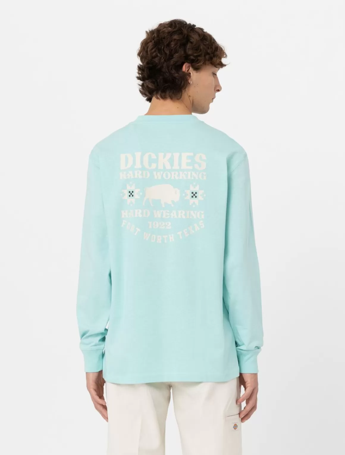 Dickies Hays Langærmet T-Shirt