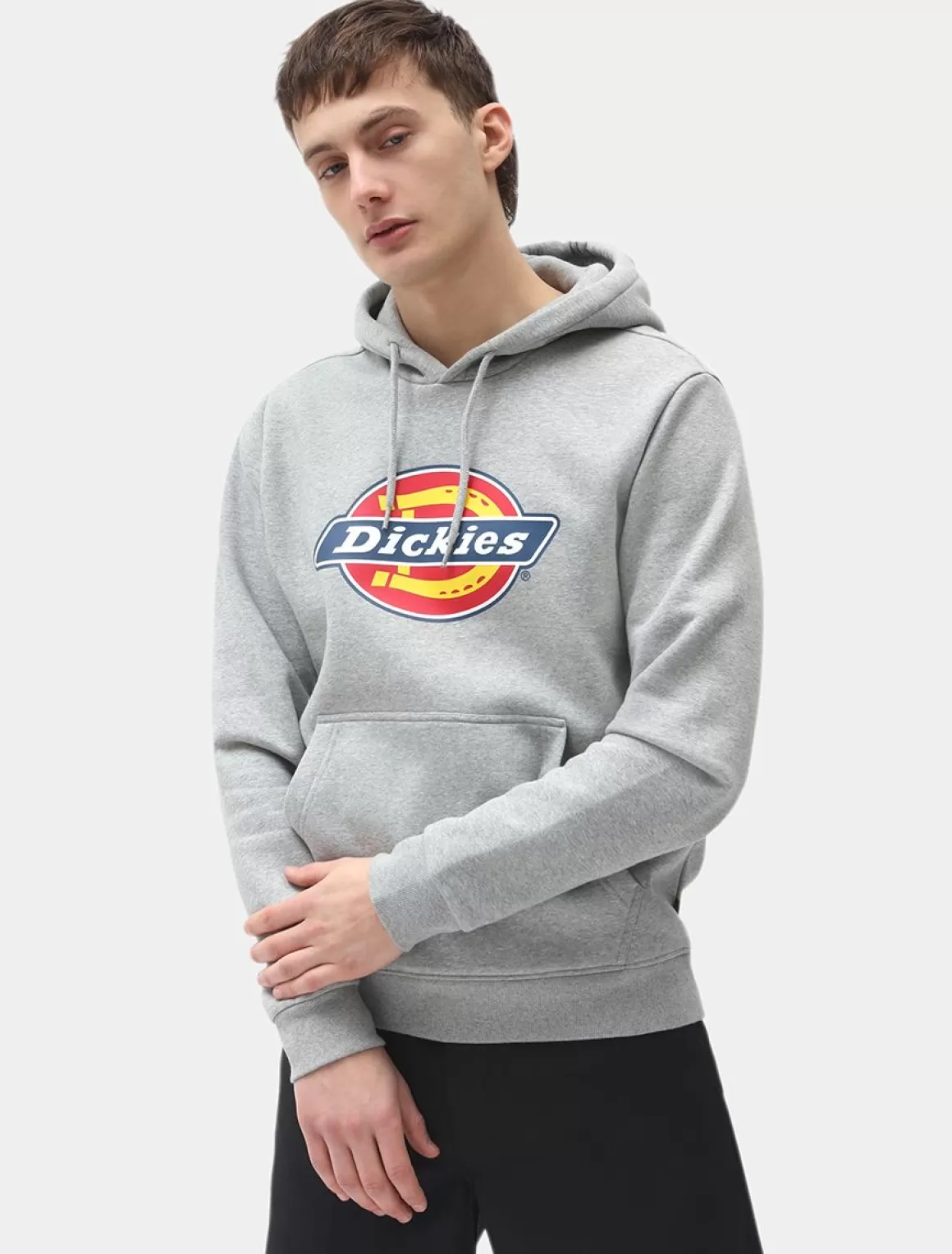 Dickies Icon Logo Hættetrøje