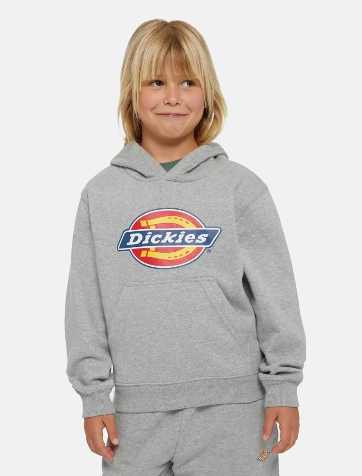 Børn Dickies Icon Logo Hættetrøje Til Børn