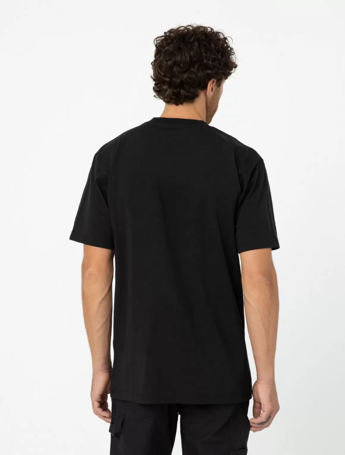 Dickies Logo Graphic Short Sleeve T-Shirt