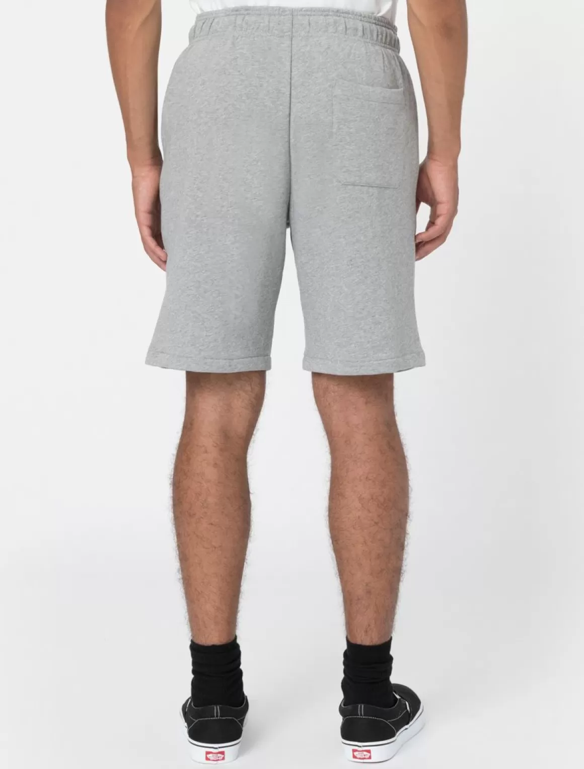 Dickies Mapleton Shorts