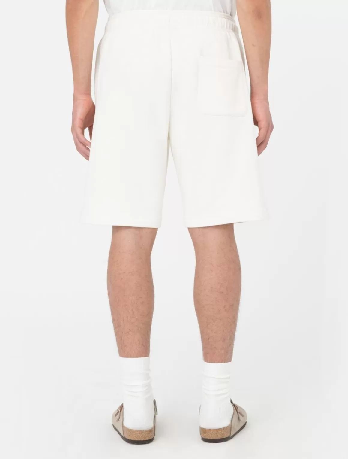 Dickies Mapleton Shorts