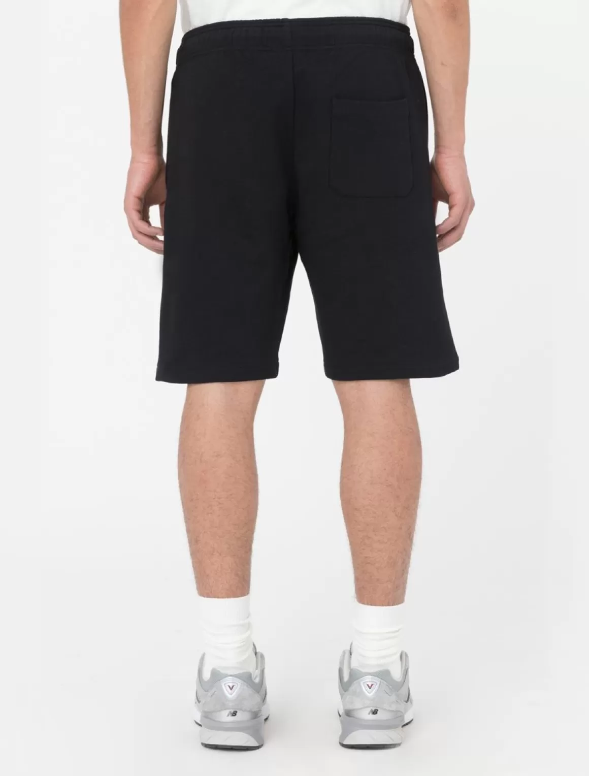 Dickies Mapleton Shorts