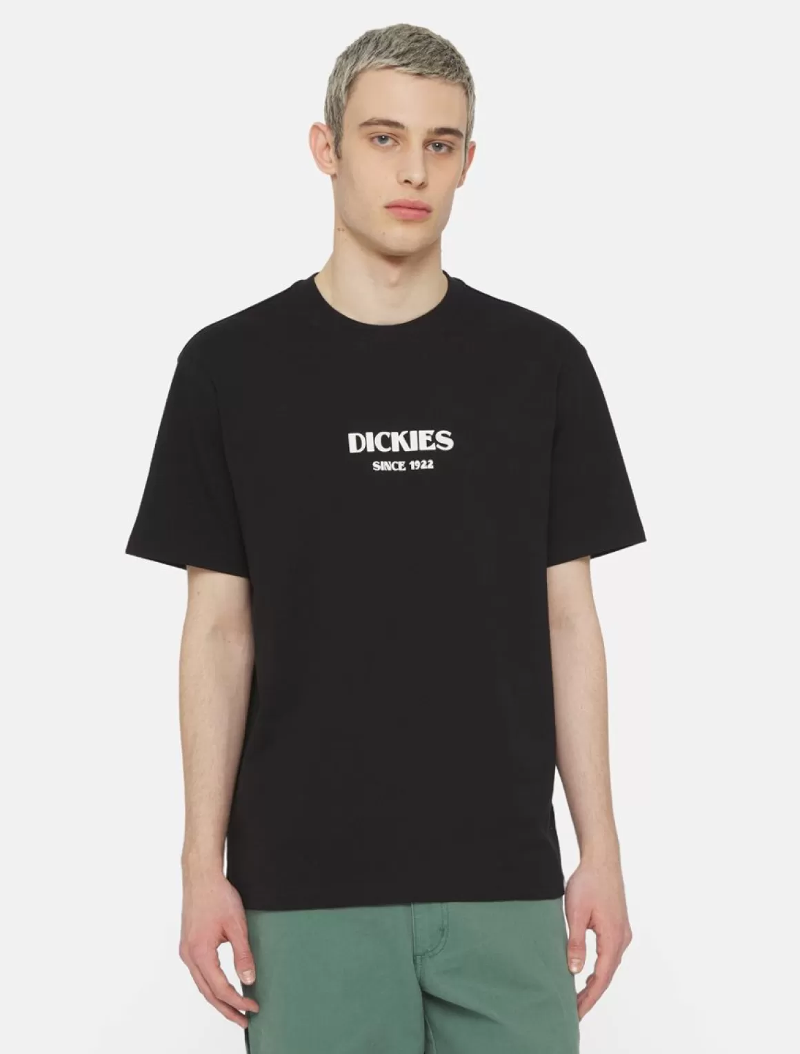 Dickies Max Meadows Kortærmet T-Shirt