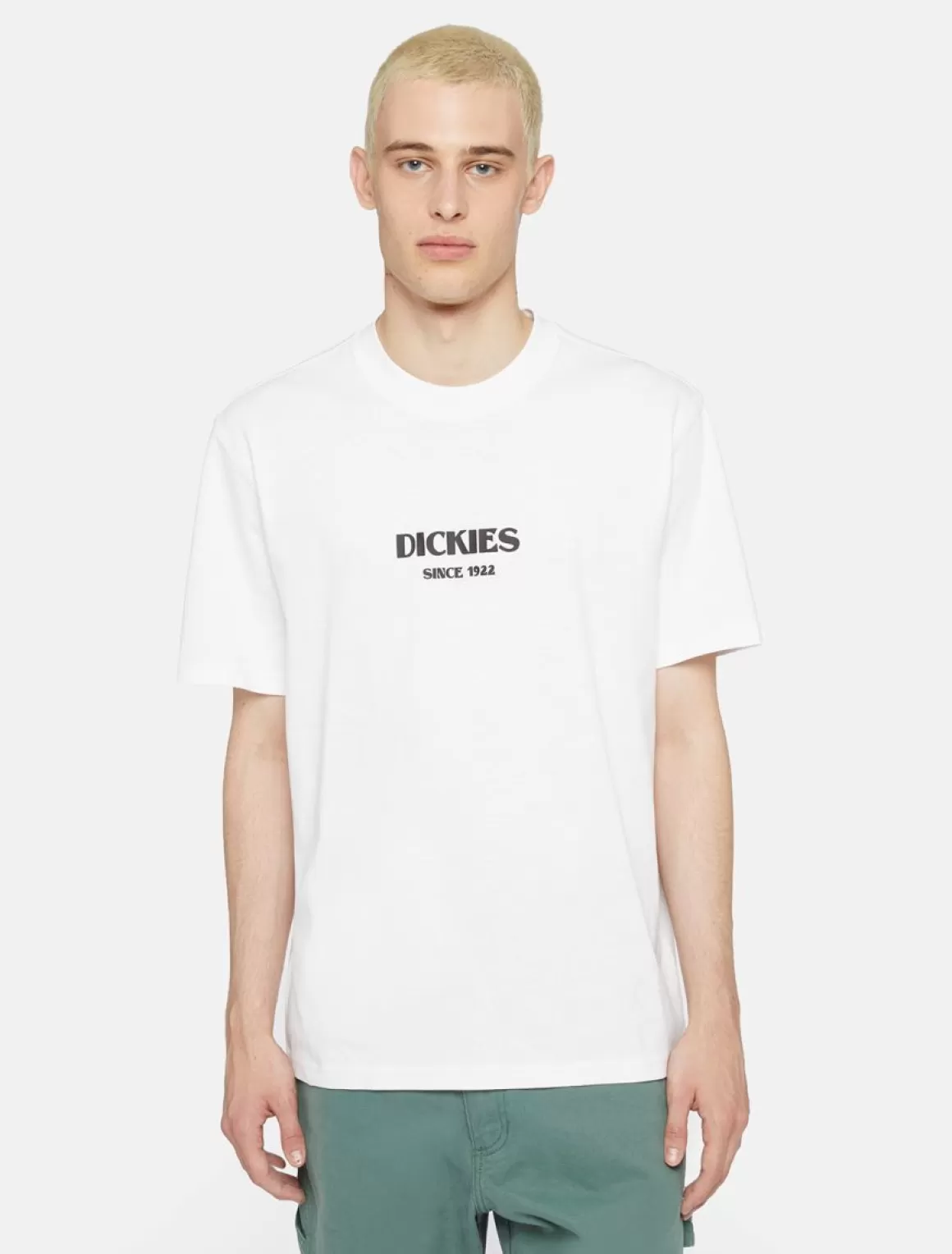 Dickies Max Meadows Kortærmet T-Shirt