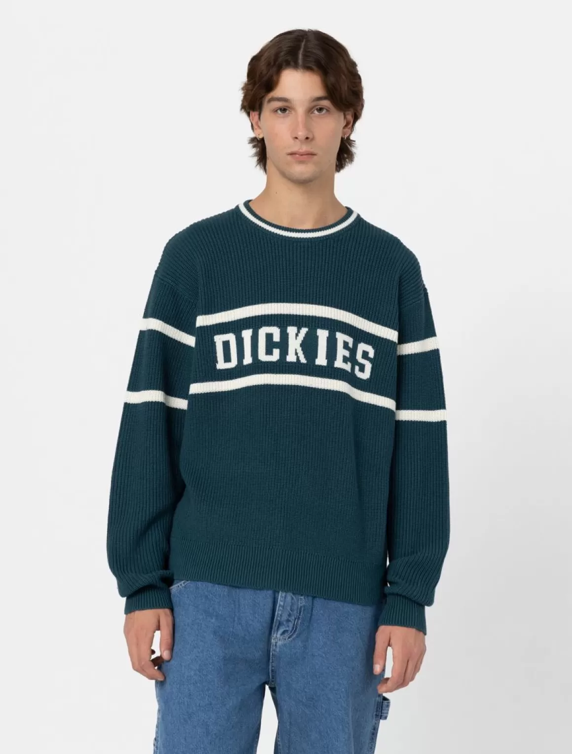 Dickies Melvern Trøje