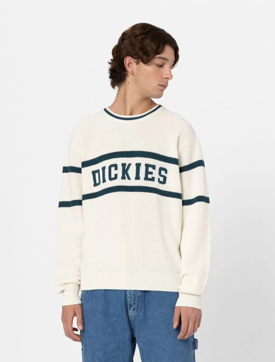 Dickies Melvern Trøje