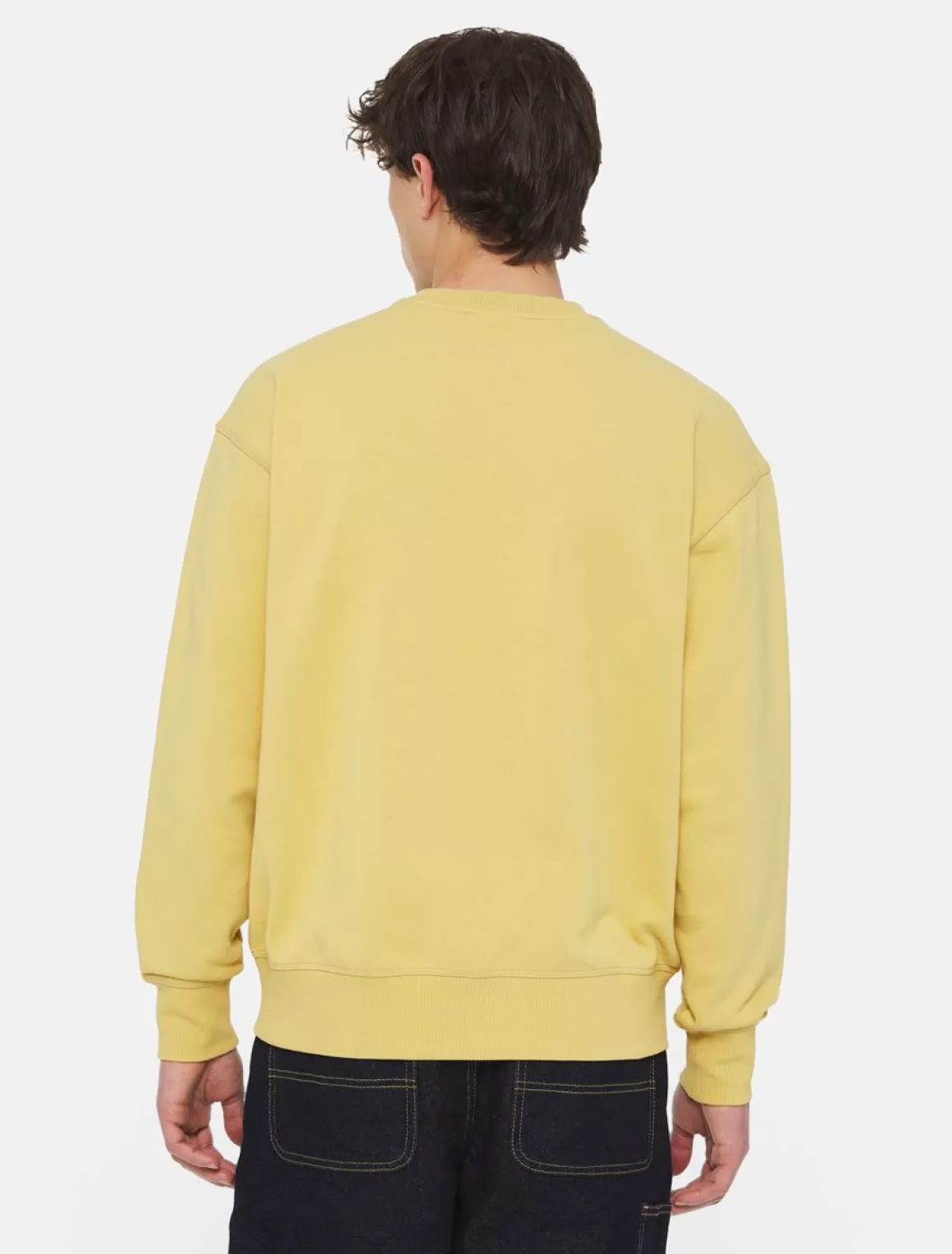 Dickies Millersburg Sweatshirt