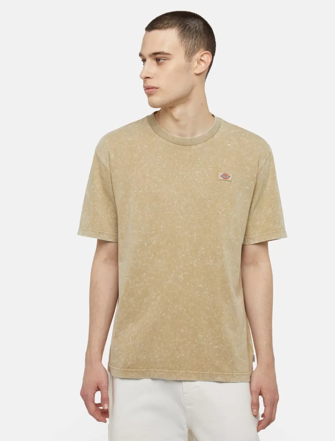 Dickies Newington Kortærmet T-Shirt