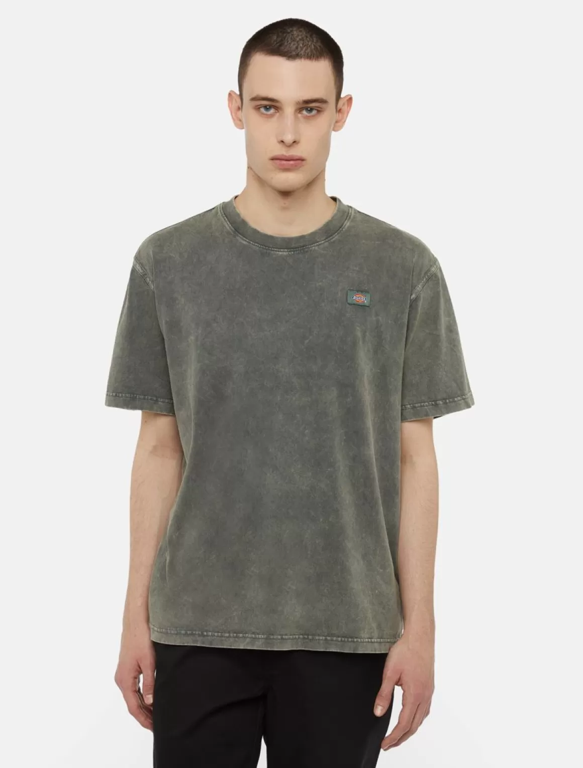 Dickies Newington Kortærmet T-Shirt