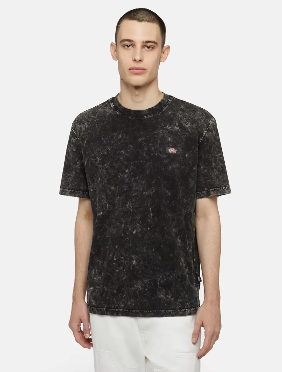 Dickies Newington Kortærmet T-Shirt