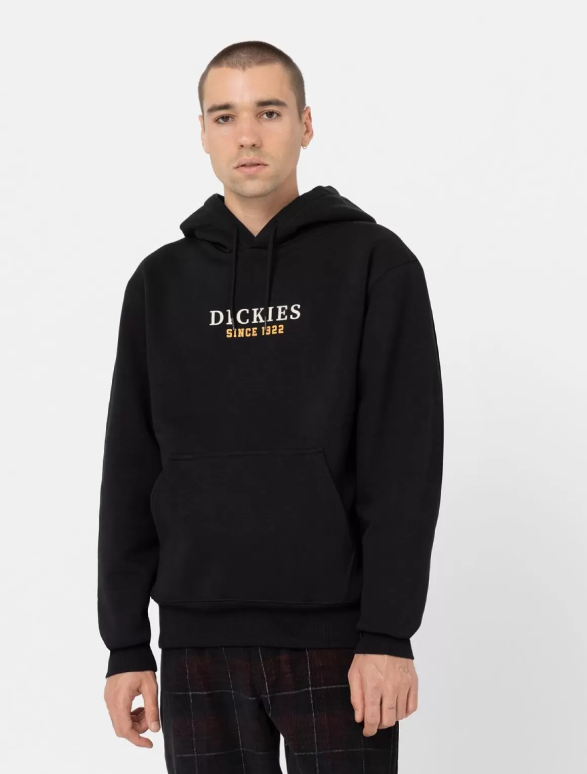 Dickies Park Hættetrøje