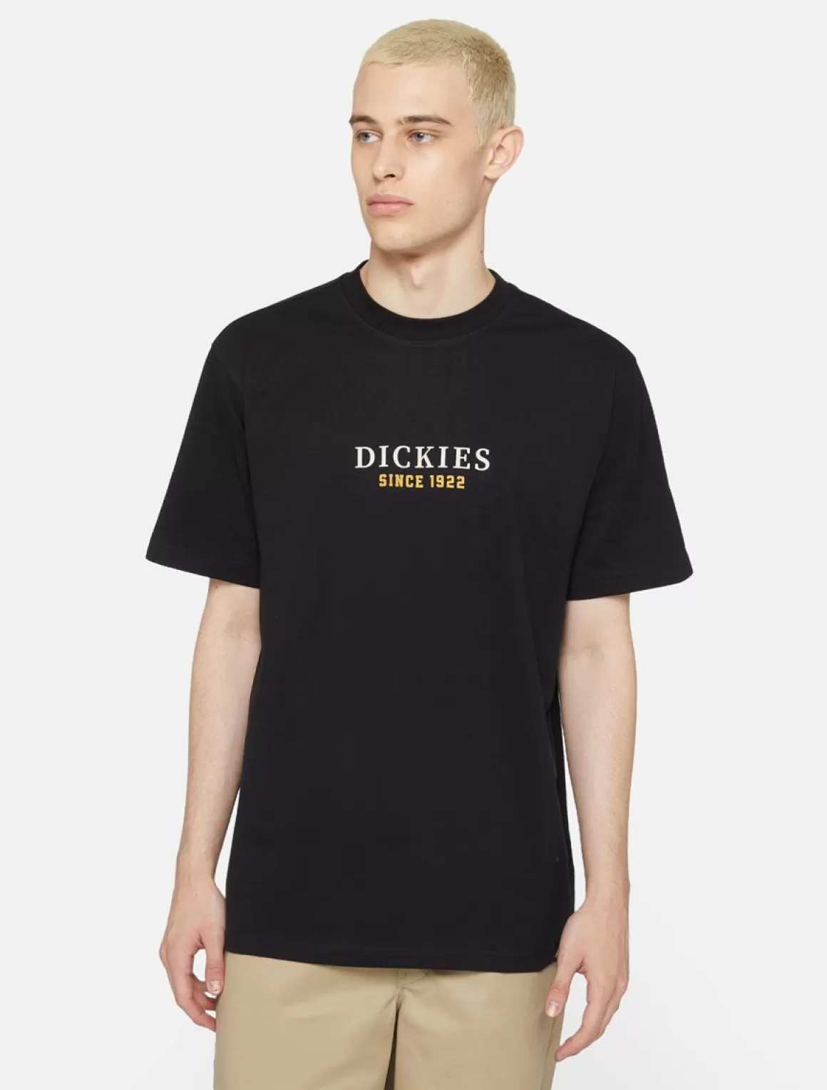 Dickies Park Kortærmet T-Shirt