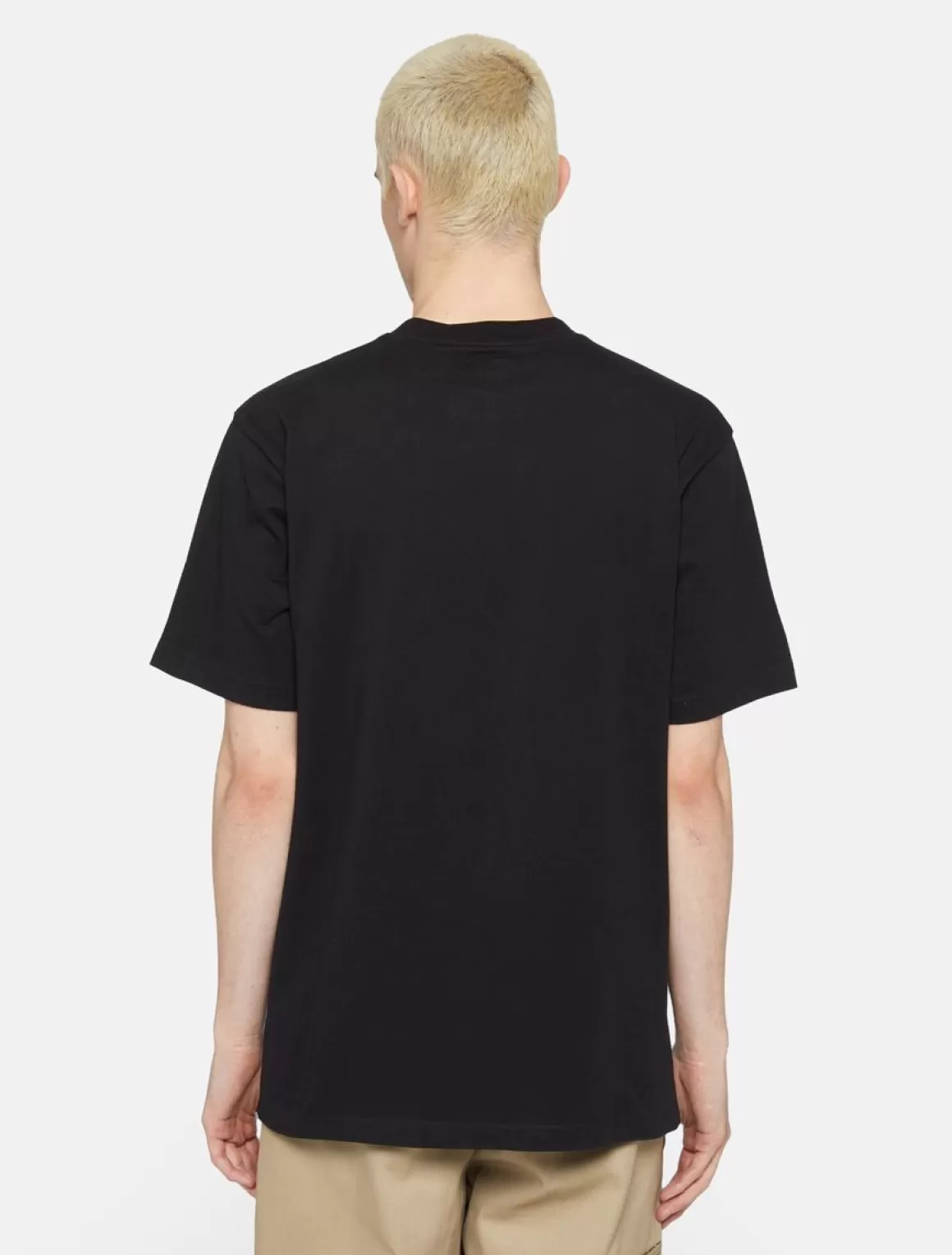 Dickies Park Kortærmet T-Shirt